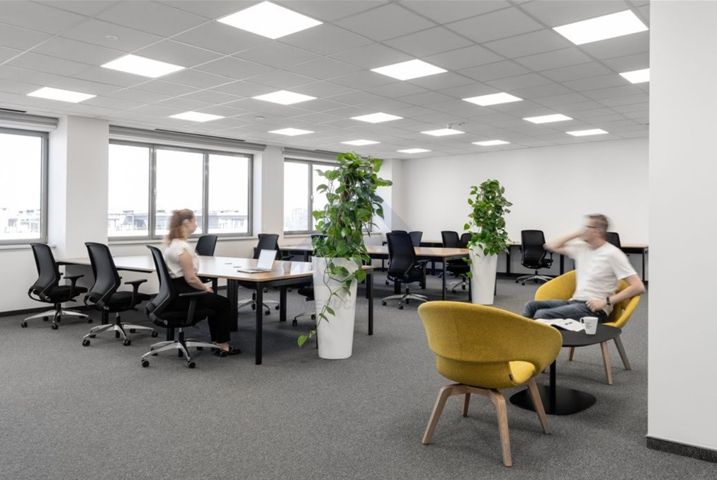 Lokal Wynajem Warszawa Wola 5