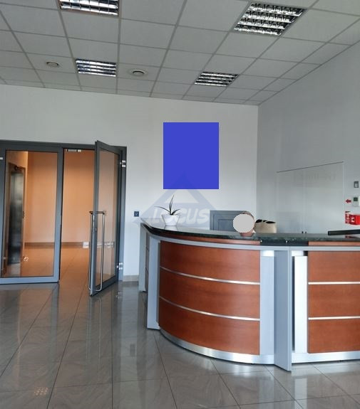 Lokal Wynajem Warszawa Ursynów