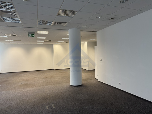 Lokal Wynajem Warszawa Mokotów 13