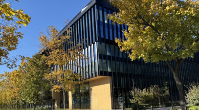 Lokal Wynajem Warszawa Wola