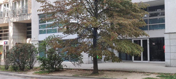 Lokal Wynajem Warszawa Śródmieście Aleja Jana Pawła II 1