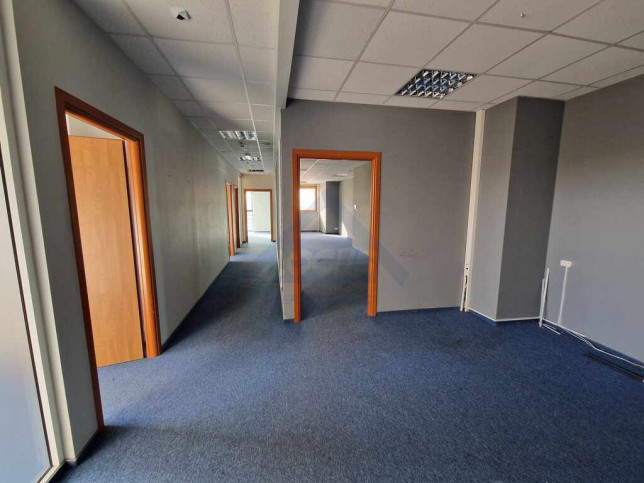 Lokal Wynajem Warszawa Praga-Północ 14