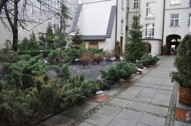 Lokal Wynajem Warszawa Śródmieście 3