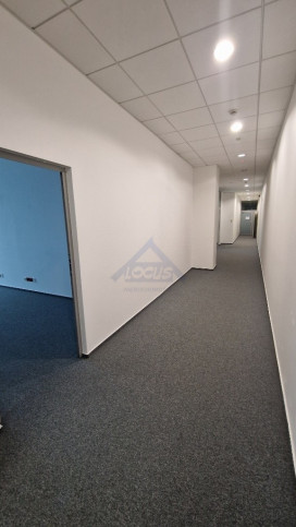 Lokal Wynajem Warszawa Wola 5