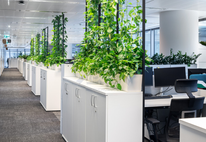 Lokal Wynajem Warszawa Śródmieście 6