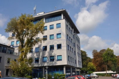 Lokal Wynajem Warszawa Wola