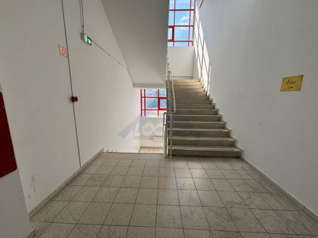 Lokal Wynajem Warszawa Praga-Północ 5