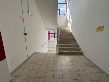 Lokal Wynajem Warszawa Praga-Północ