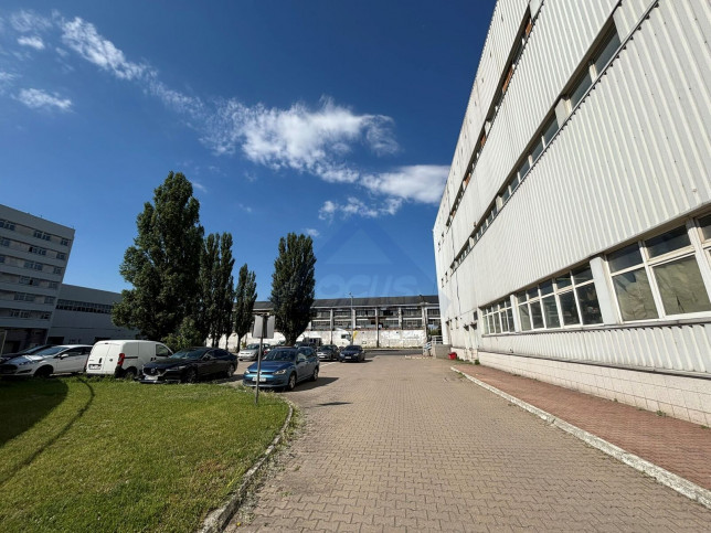 Lokal Wynajem Warszawa Praga-Północ 2