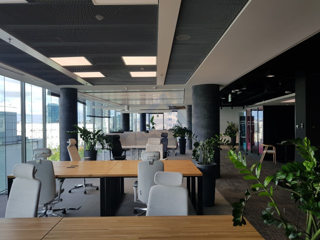Lokal Wynajem Warszawa Śródmieście 7