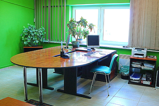 Lokal Wynajem Nowy Konik 12