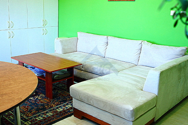 Lokal Wynajem Nowy Konik 14