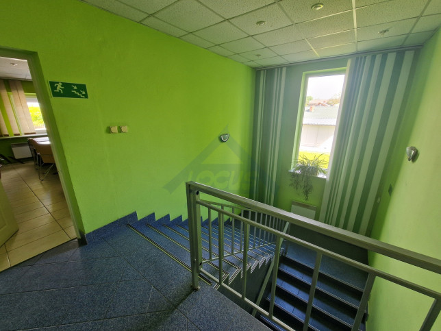 Lokal Wynajem Nowy Konik 6