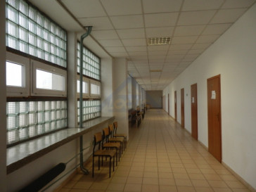 Lokal Wynajem Warszawa Wola