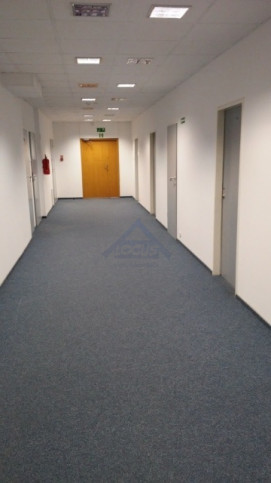 Lokal Wynajem Warszawa Wola 3