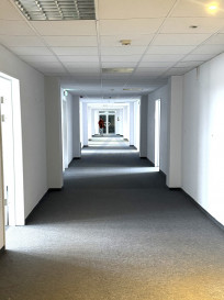 Lokal Wynajem Warszawa Praga-Północ