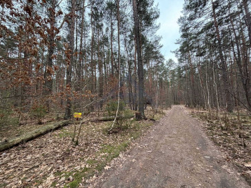 Działka Sprzedaż Magdalenka
