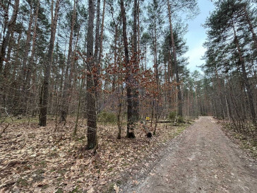 Działka Sprzedaż Magdalenka
