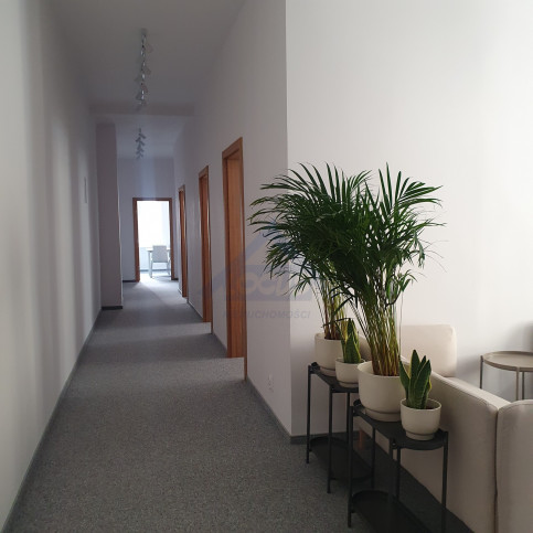 Lokal Wynajem Warszawa Śródmieście Śniadeckich 5