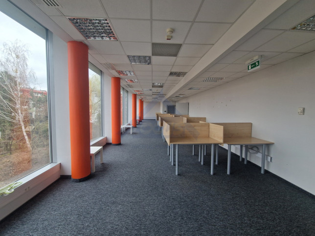 Lokal Wynajem Warszawa Ursynów 8