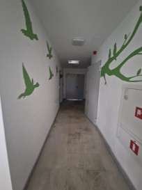 Lokal Wynajem Warszawa Ursynów