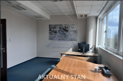 Lokal Wynajem Warszawa Mokotów