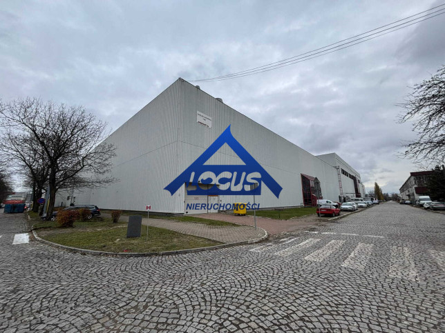Magazyn Wynajem Warszawa Praga-Północ 1