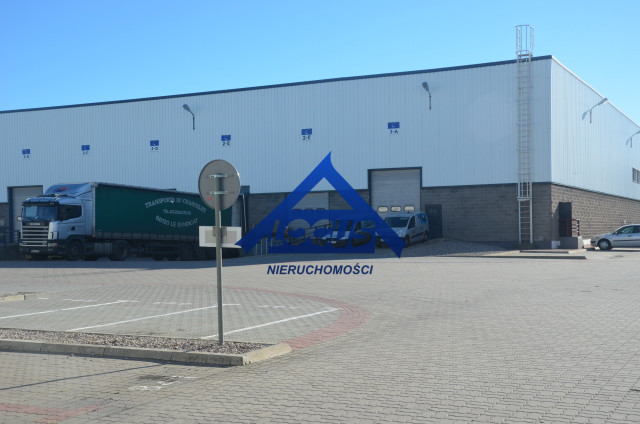 Magazyn Wynajem Warszawa Włochy 1
