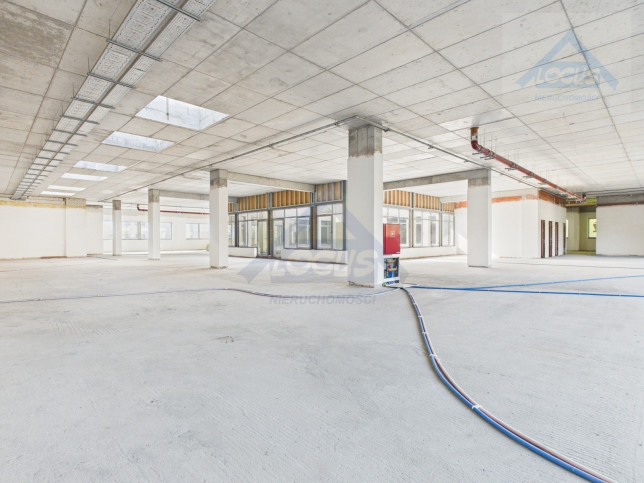 Lokal Wynajem Pruszków 5