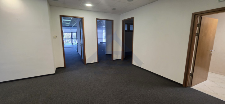 Lokal Wynajem Warszawa Śródmieście 10
