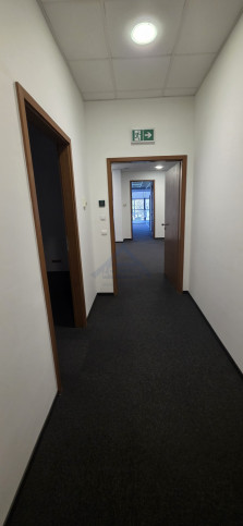 Lokal Wynajem Warszawa Śródmieście 17