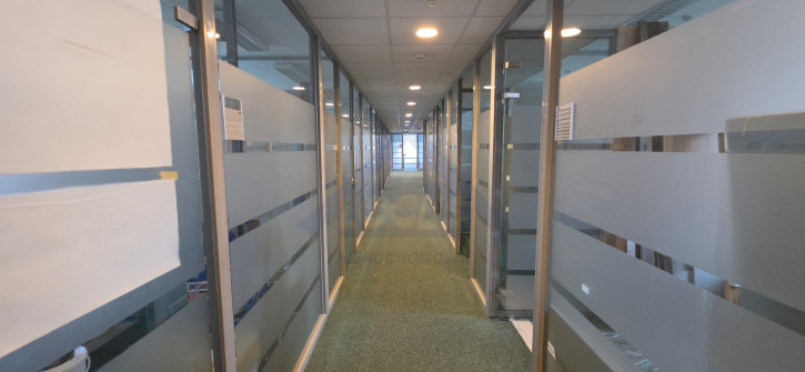 Lokal Wynajem Warszawa Śródmieście 10