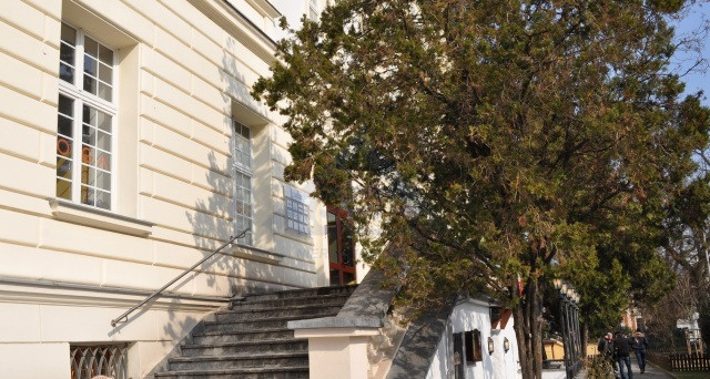 Lokal Wynajem Warszawa Śródmieście 9