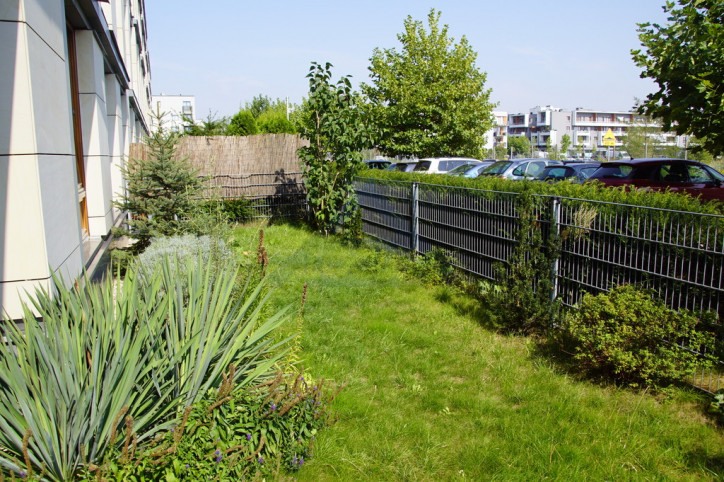 Lokal Wynajem Warszawa Wilanów 4