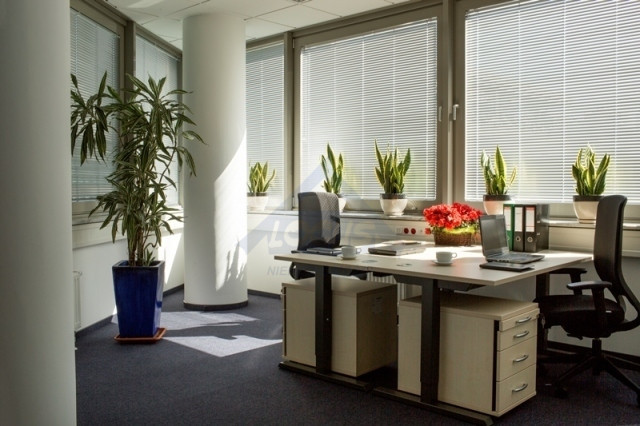 Lokal Wynajem Warszawa Wola 7