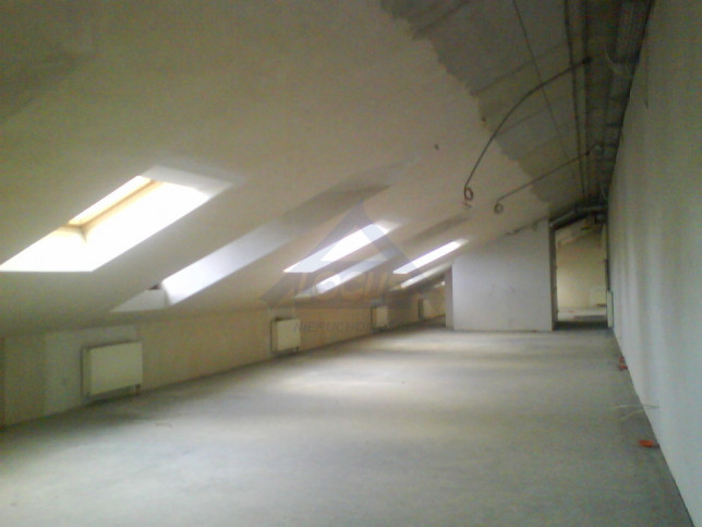 Lokal Wynajem Warszawa Praga-Północ 4