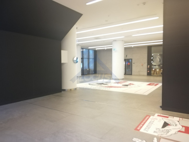 Lokal Wynajem Warszawa Śródmieście 18