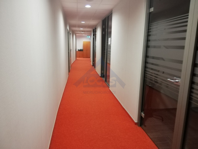 Lokal Wynajem Warszawa Ochota 10