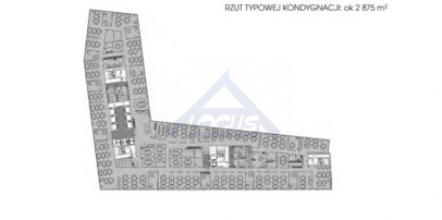 Lokal Wynajem Warszawa Wola
