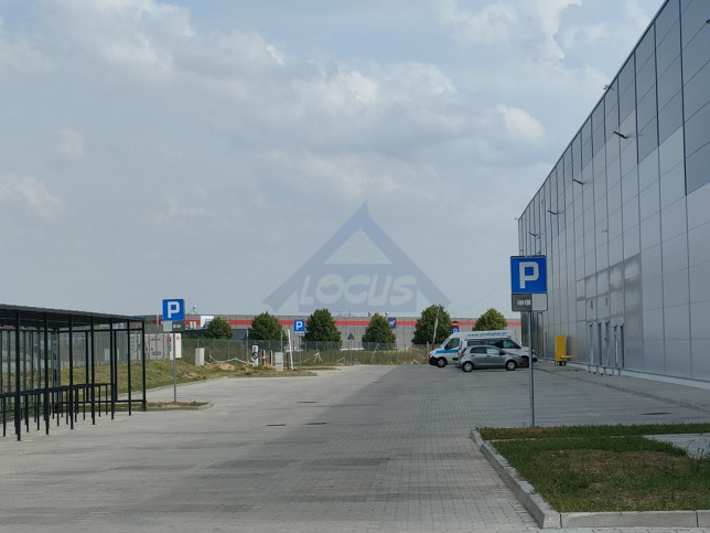 Magazyn Wynajem Błonie 5