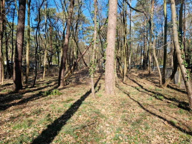 Działka Sprzedaż Konstancin-Jeziorna Uzdrowiskowa 8