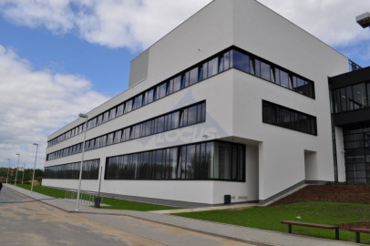 Lokal Wynajem Warszawa Wilanów