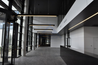 Lokal Wynajem Warszawa Wilanów