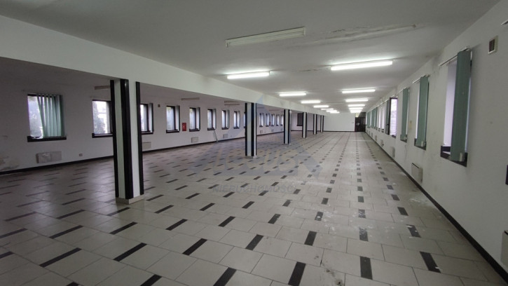 Lokal Wynajem Piastów 1
