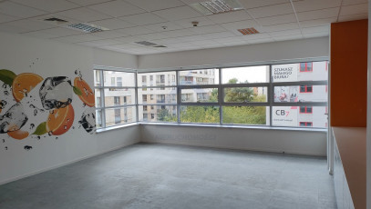 Lokal Wynajem Warszawa Mokotów
