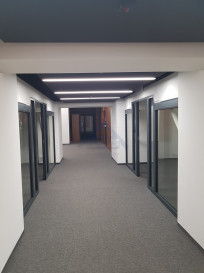 Lokal Wynajem Warszawa Praga-Południe