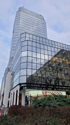 Lokal Wynajem Warszawa Śródmieście 2