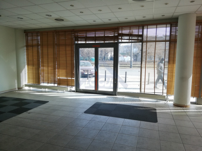 Lokal Wynajem Warszawa Praga-Północ 2