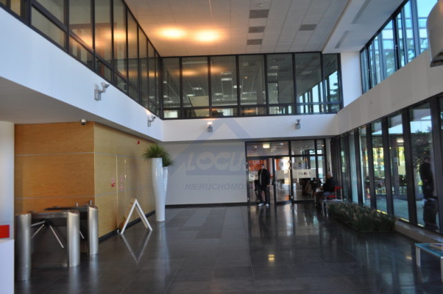 Lokal Wynajem Warszawa Mokotów 3