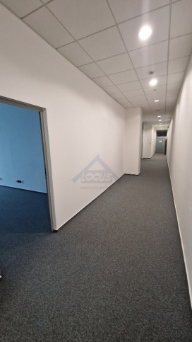 Lokal Wynajem Warszawa Wola 5
